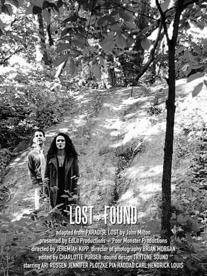 Lost  Found poster