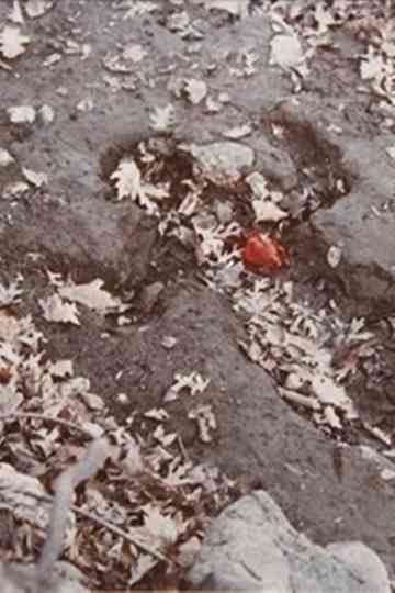 Heart of Rock with Blood Poster