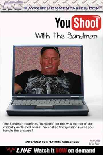 YouShoot The Sandman Poster