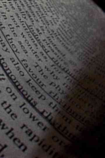 Street Film Part V Poster