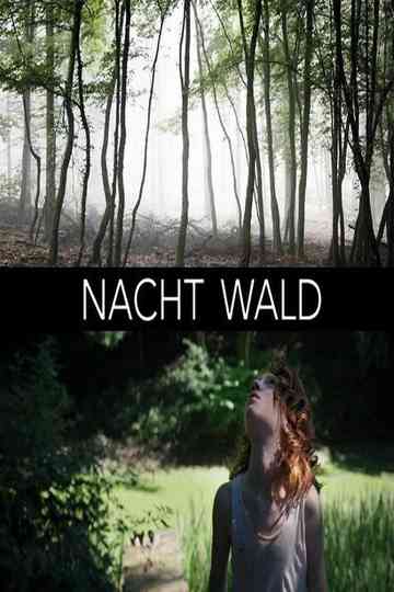 Nacht Wald Poster