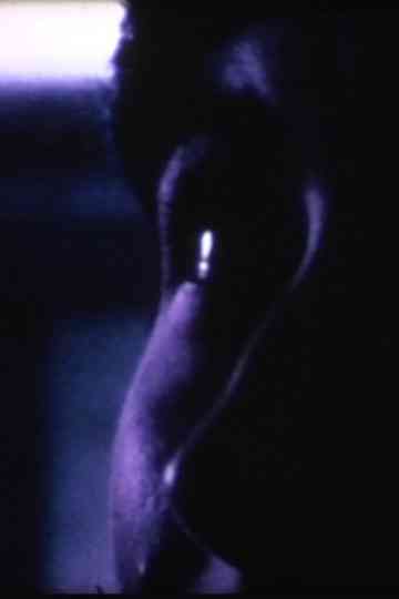 The Steel Chickn Poster