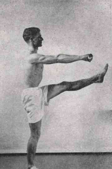 Discipline and phylogeny Poster