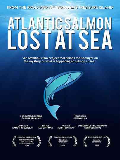 Atlantic Salmon: Lost at Sea Poster