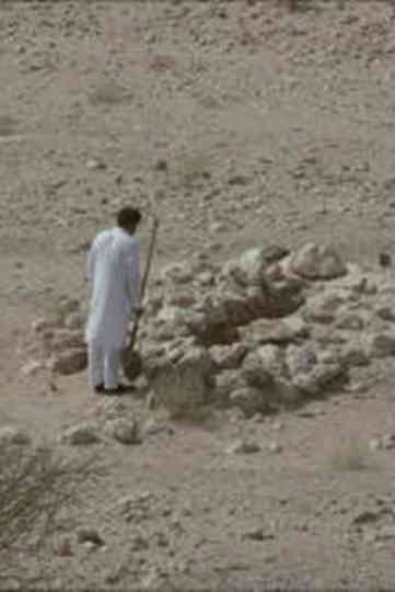 The Song of Rio Jim Poster