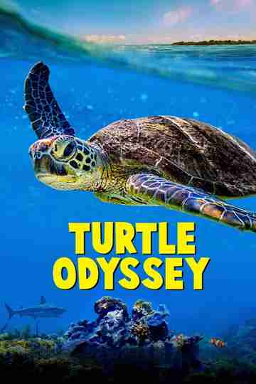 Turtle Odyssey Poster
