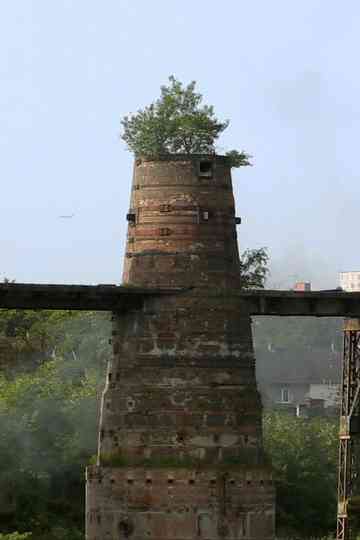 Above Us Only Sky Poster