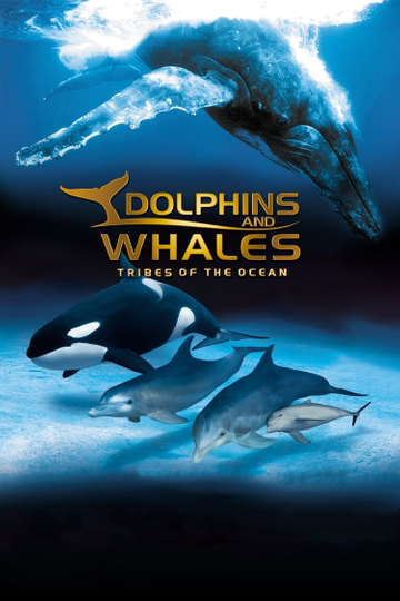 IMAX Dolphins and Whales: Tribes of the Ocean