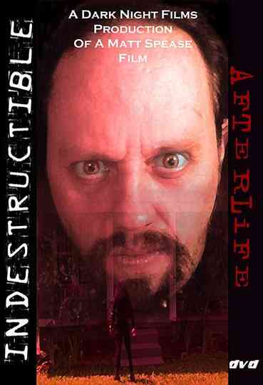 Indestructible Afterlife