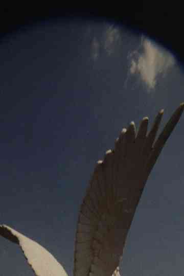 The House, The True One and The One That Follows, Is Yet to be Built Poster