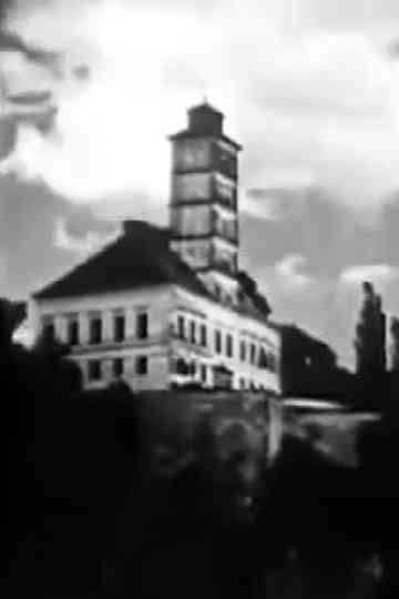 Down the Danube to Vienna Poster