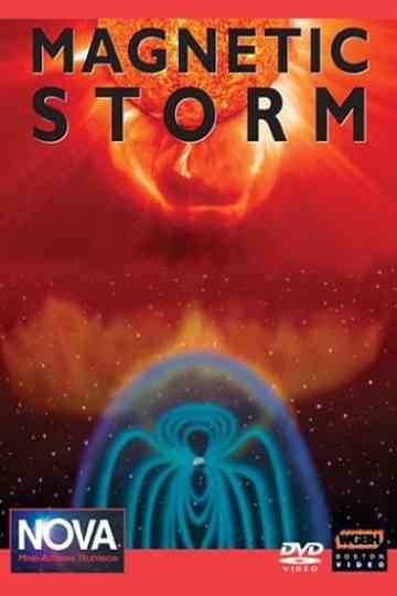 Magnetic Storm Poster