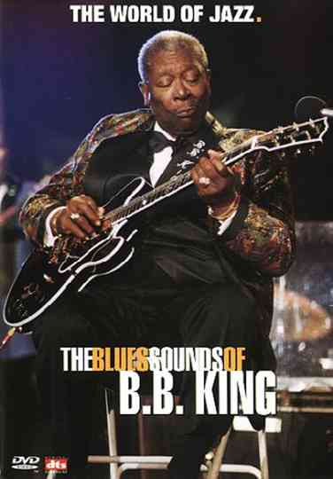 BB King  The Blues Sounds of BB King Poster