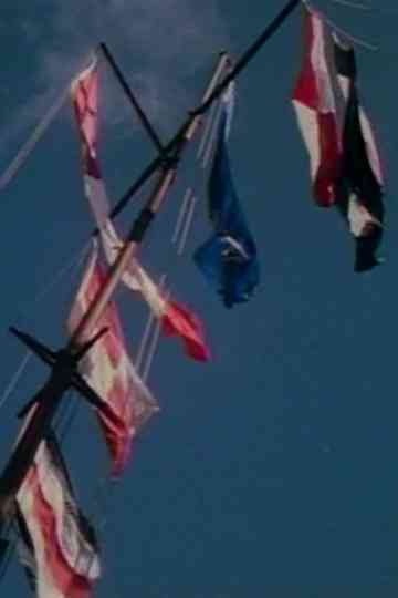 Un cirque sur le fleuve Poster