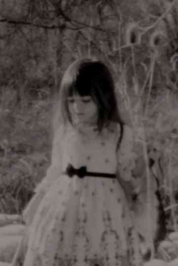 The Evil and the Good Fairy Poster