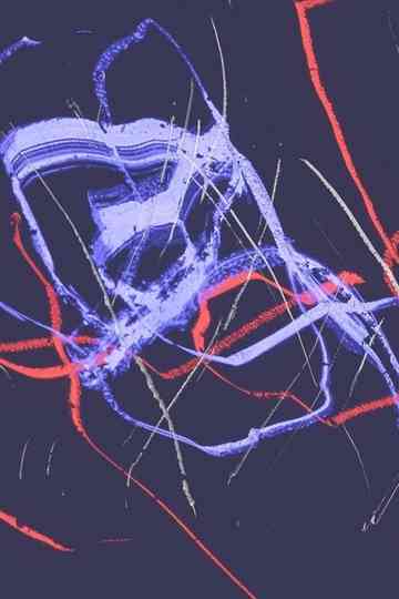 But One Bird Sang Not Poster