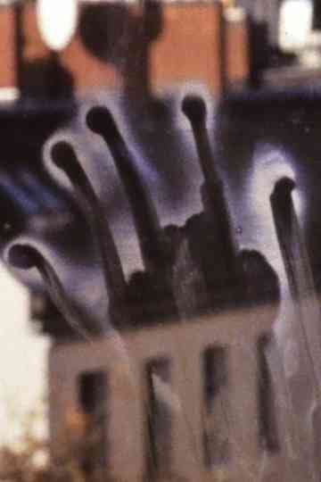 Susan+Lisbeth Poster