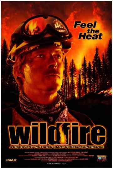 Wildfire: Feel the Heat Poster