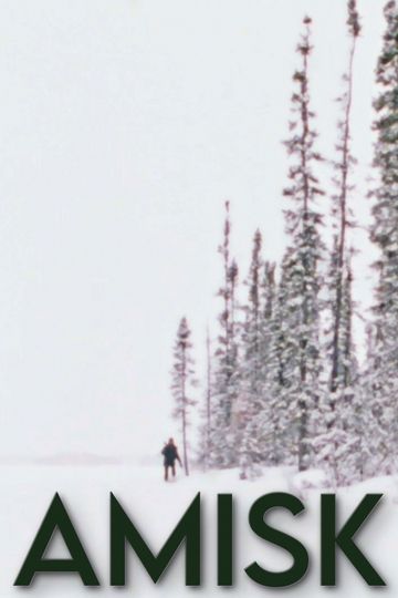 Amisk
