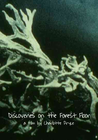 Discoveries on the Forest Floor 1-3 Poster