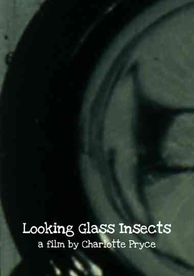 Looking Glass Insects Poster