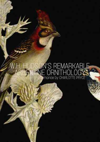 W.H. Hudson’s Remarkable Argentine Ornithology Poster