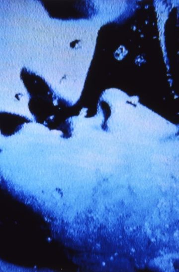 SelfPortrait in 23 Rounds a Chapter in David Wojnarowiczs Life 19891991