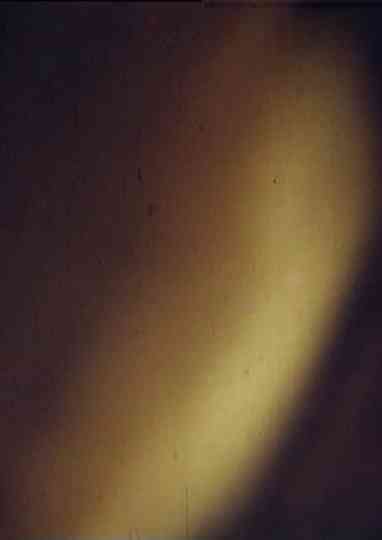 Petty-Bourgeois Dracula Idyll at the Family Table Poster