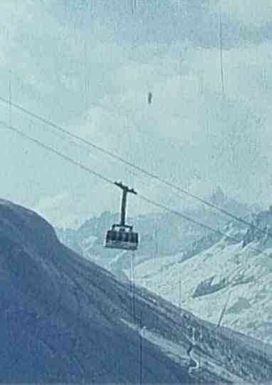 Kleine Blumen kleine Blätter Poster