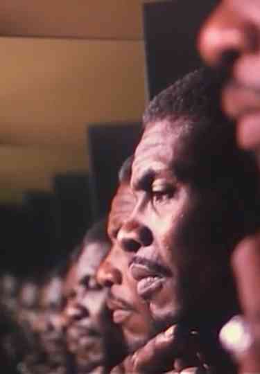 Hallelujah Anyhow Poster