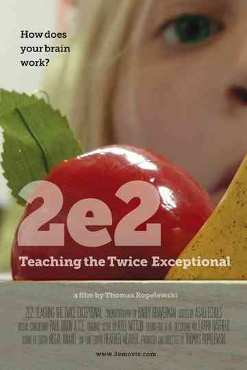 2e2 Teaching the Twice Exceptional Poster