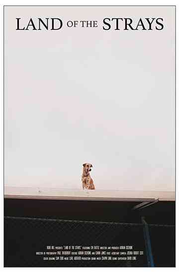 Land of the Strays Poster