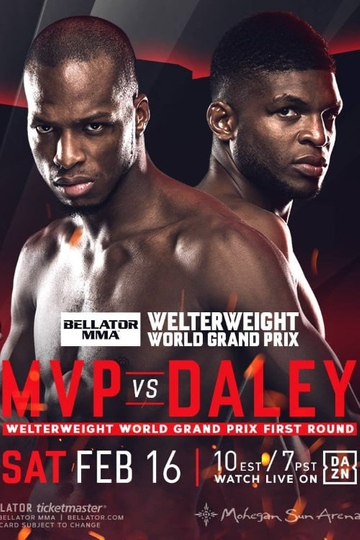 Bellator 216 MVP vs Daley