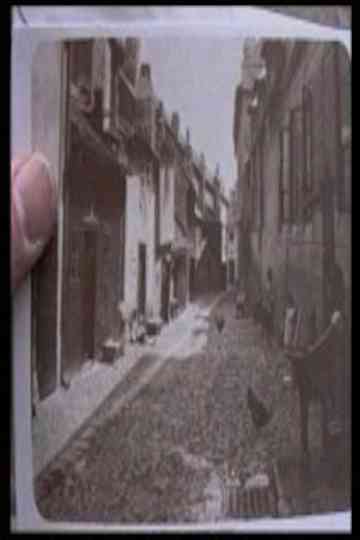 For the Benefit of Mr. K Poster