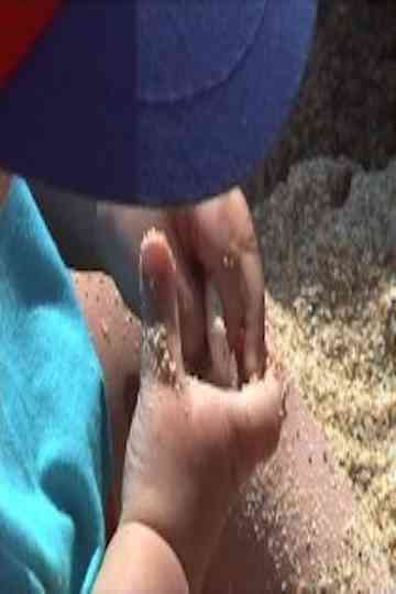 Critical Moments Poster