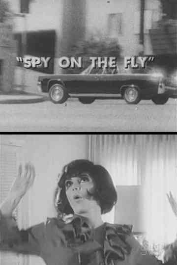 Spy on the Fly Poster