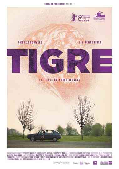 Tiger Poster