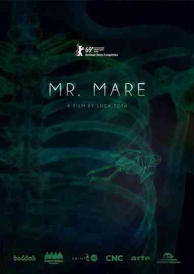 Mr Mare Poster