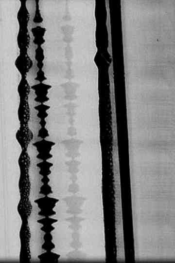 Optical Sound Poster