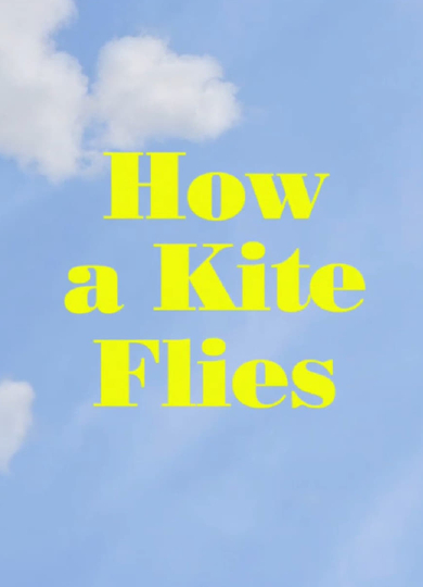 How a Kite Flies