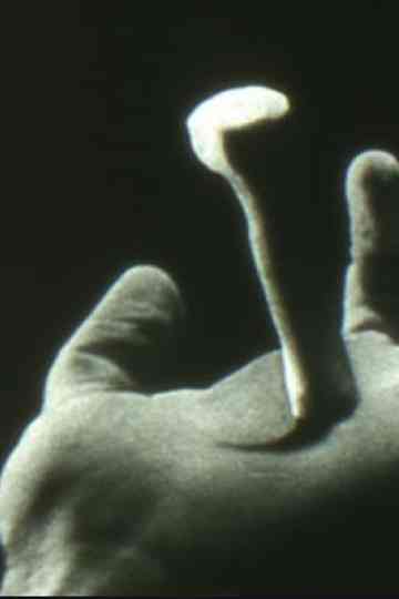 Non Catholicam Poster