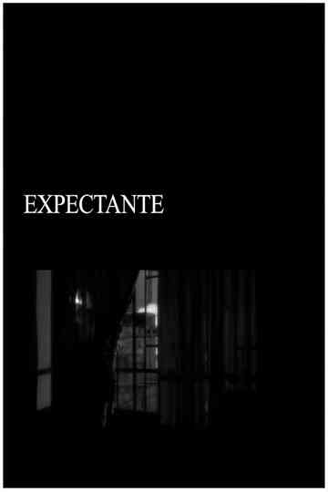 Expectant Poster