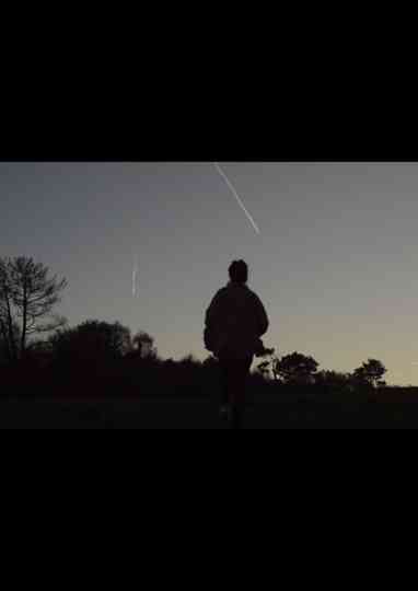 Cuando miro por la ventana veo el bosque Poster
