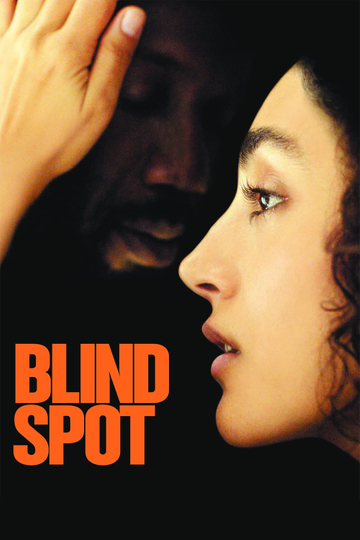 Blind Spot Poster