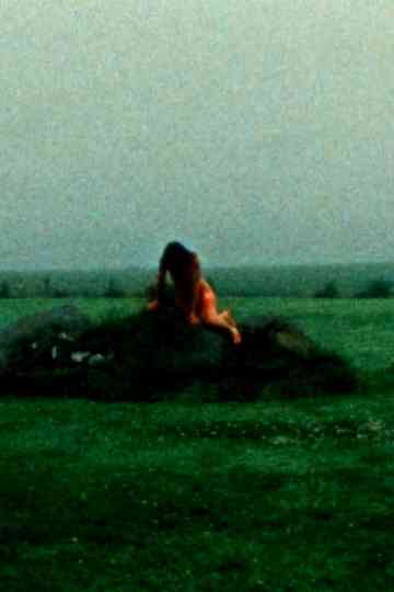 INT. LANDSCAPES Poster