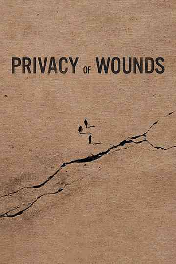 Privacy of Wounds Poster