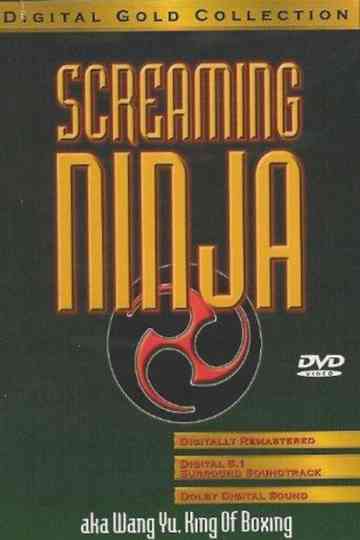 Screaming Ninja Poster