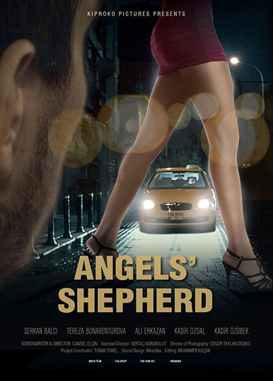 AngelsShepherd