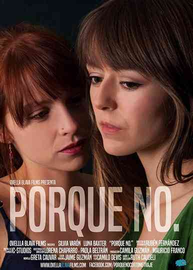 Porque no. Poster