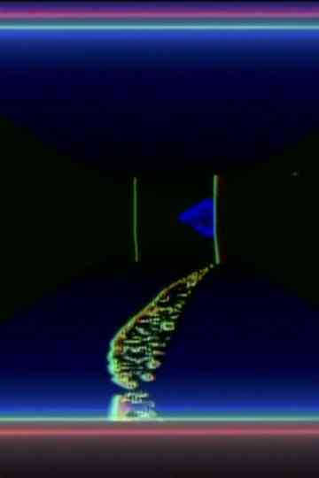 Afterimage Selves Poster